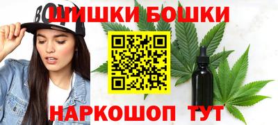 индика Обнинск