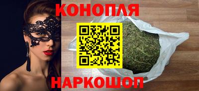 индика Обнинск
