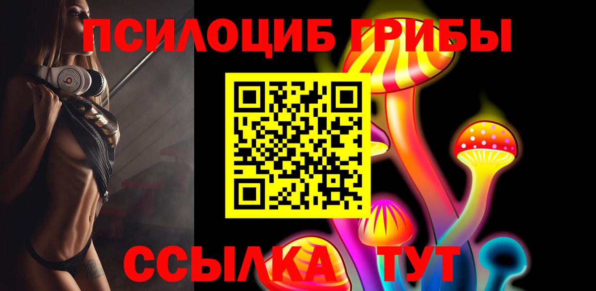 Ступино  Псилоцибиновые грибы MAGIC MUSHROOMS  Вход с VPN  Псилоцибиновые грибы Psilocybe 